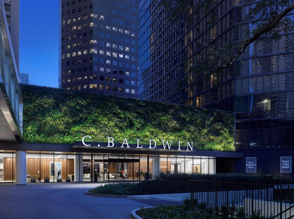 C. Baldwin, Curio Collection by Hilton, photo 1