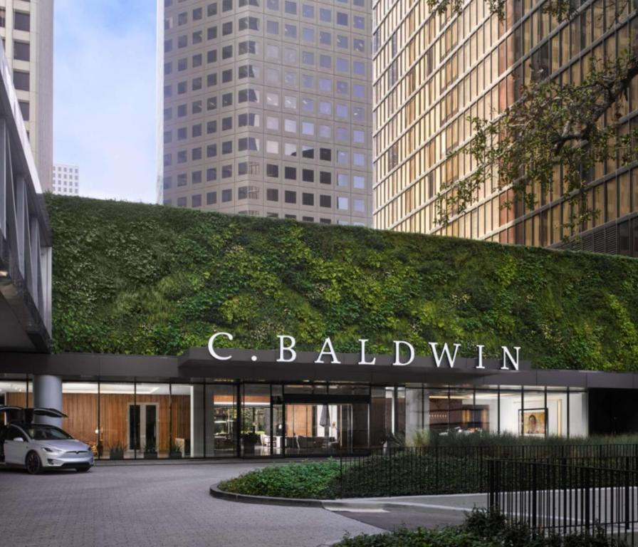 C. Baldwin, Curio Collection by Hilton, photo 3