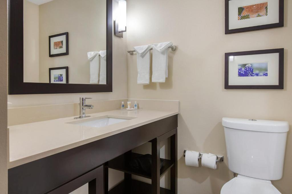 Comfort Suites - South Austin, photo 3
