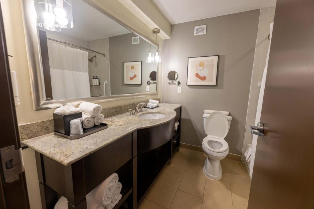 Crowne Plaza Houston Galleria Area by IHG, photo 3