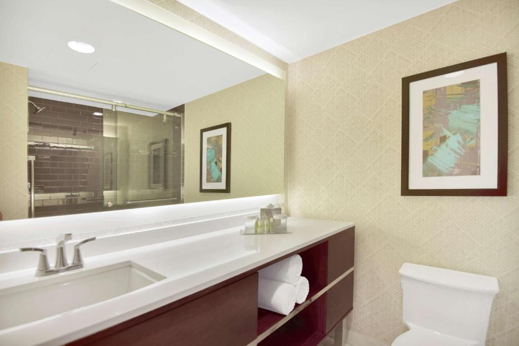 DoubleTree by Hilton Hotel & Suites Houston by the Galleria, photo 3