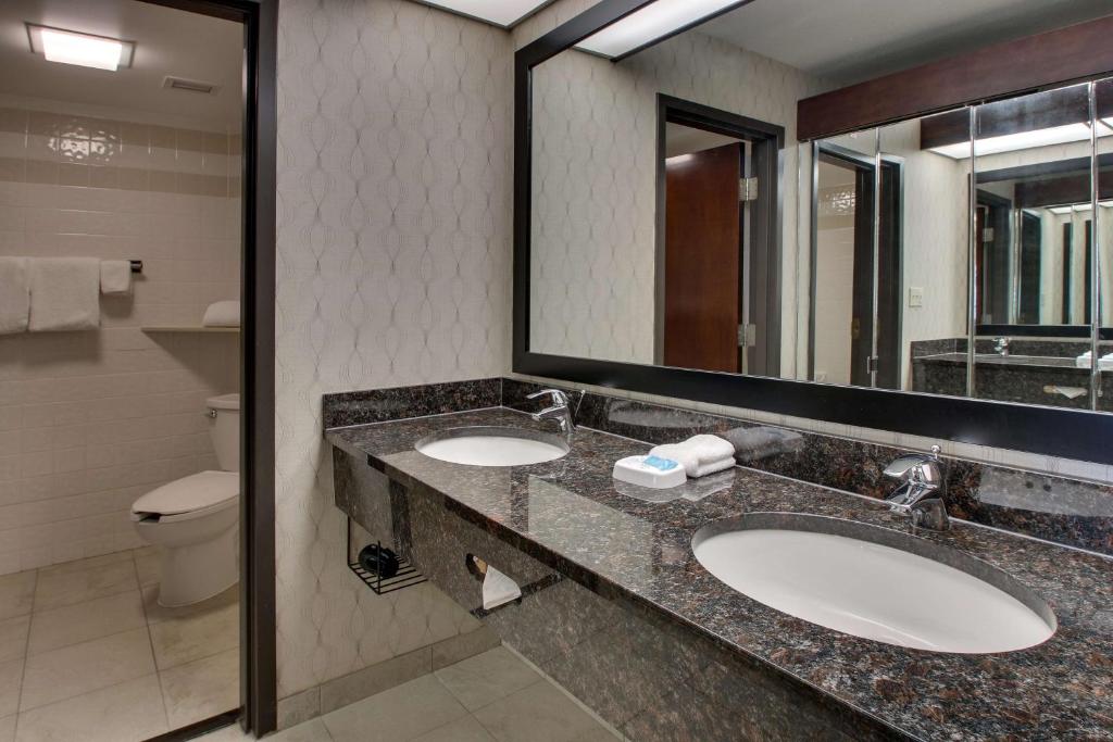 Drury Inn & Suites Houston Galleria, photo 3