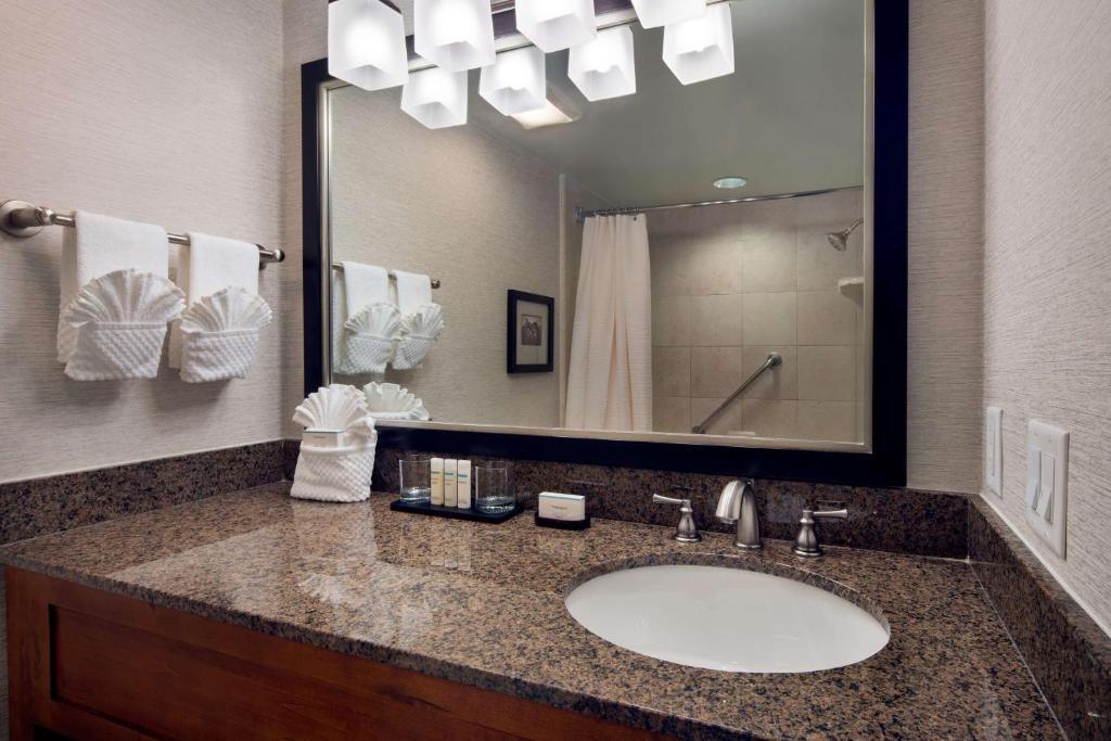 Embassy Suites by Hilton Austin Central, photo 3