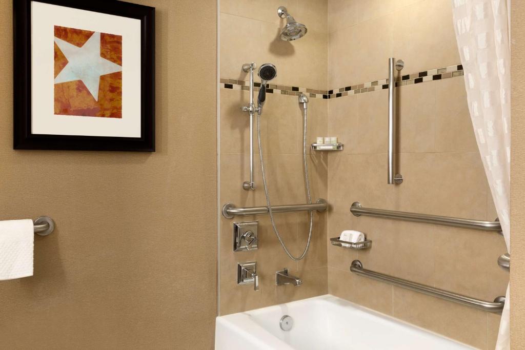 Embassy Suites by Hilton Austin Downtown South Congress, photo 2