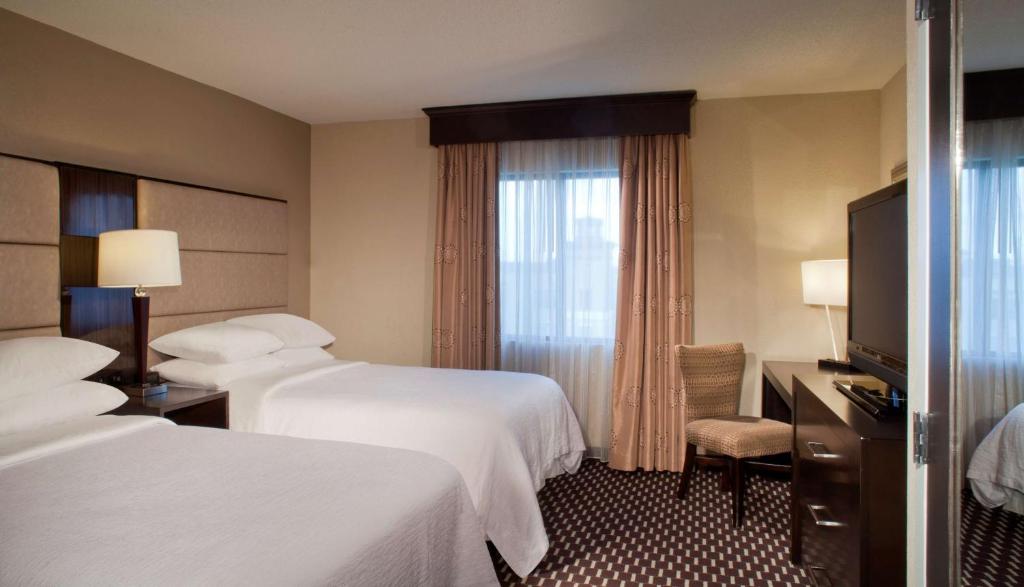 Embassy Suites by Hilton Houston Near the Galleria, photo 2