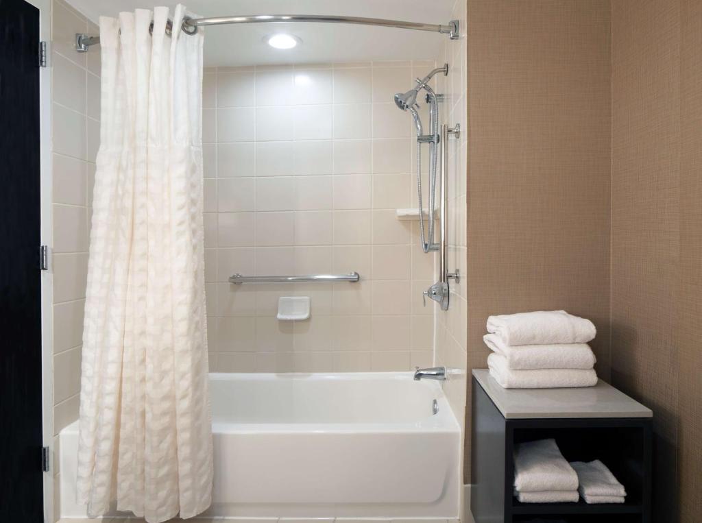 Embassy Suites by Hilton Houston Near the Galleria, photo 3