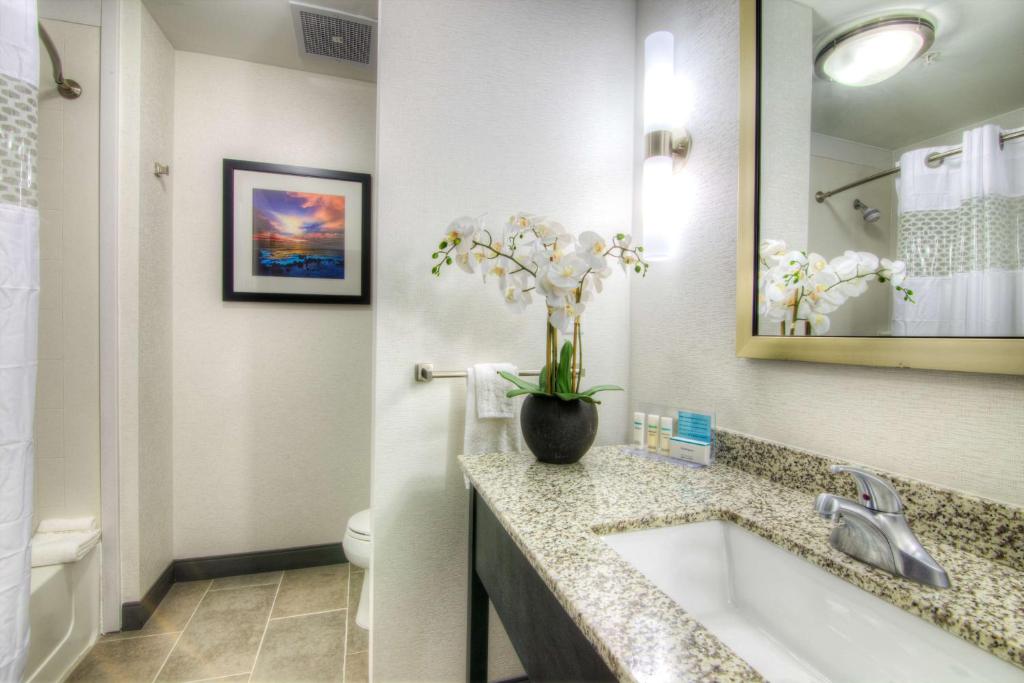 Hampton Inn Houston I-10 East, TX, photo 3