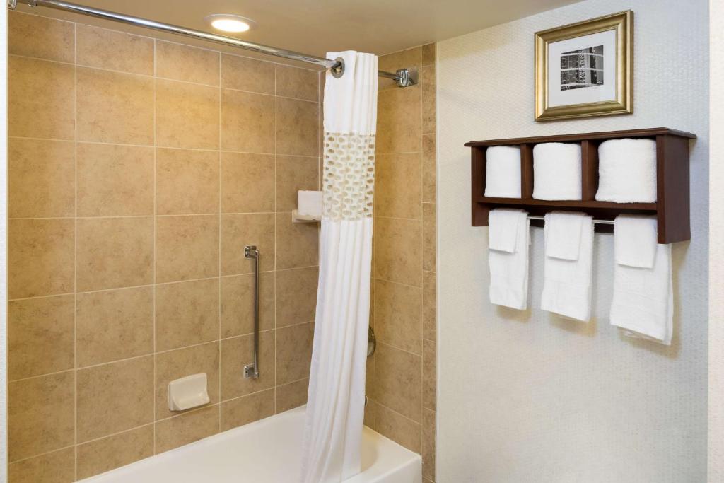 Hampton Inn Houston Near the Galleria, photo 3