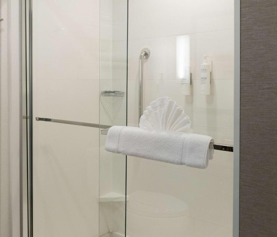 Hilton Garden Inn Austin Airport, photo 3