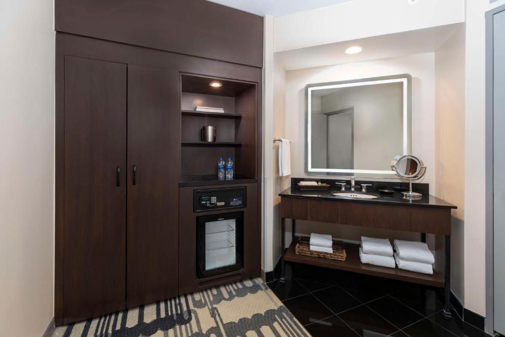 Hyatt Regency Houston Downtown, photo 2