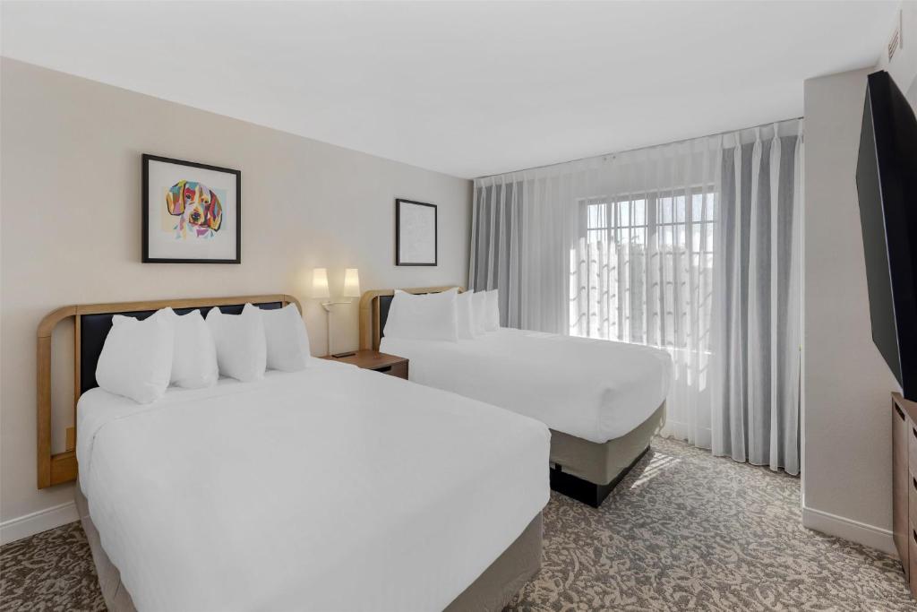 Sonesta ES Suites Austin The Domain Area - Newly Renovated, photo 2