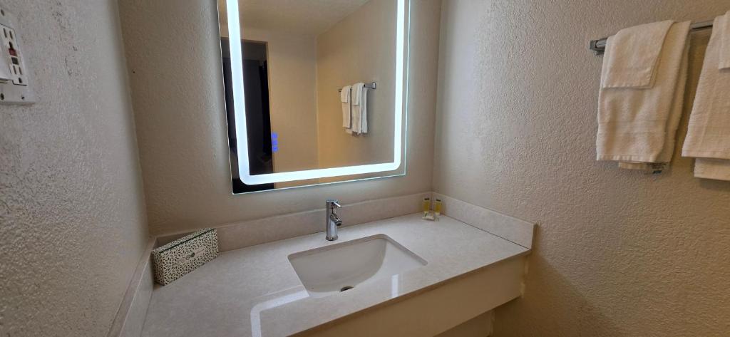 Super 8 by Wyndham Austin South I-35, photo 3